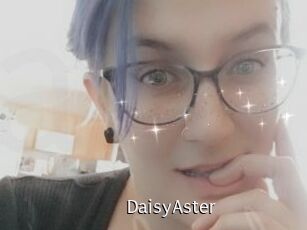 DaisyAster