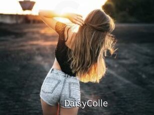 DaisyColle