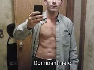 Dominantmale
