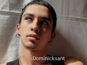 Dominicksant