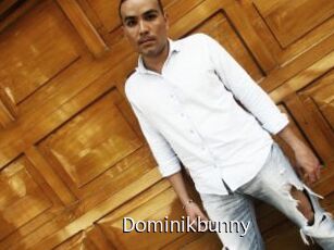 Dominikbunny