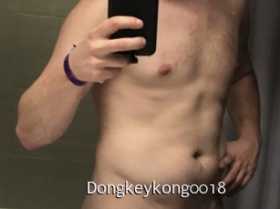 Dongkeykong0018