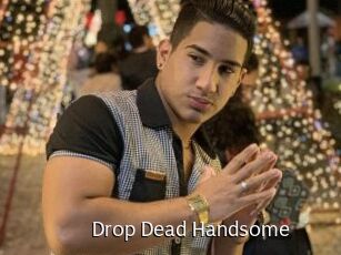 Drop_Dead_Handsome