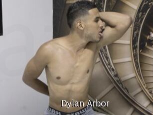 Dylan_Arbor