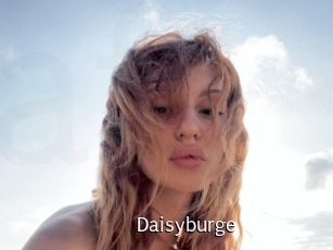 Daisyburge