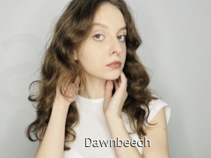 Dawnbeech