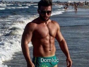 Domluc