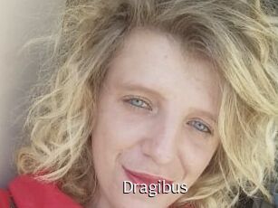 Dragibus