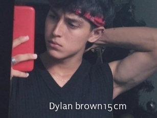 Dylan_brown15cm