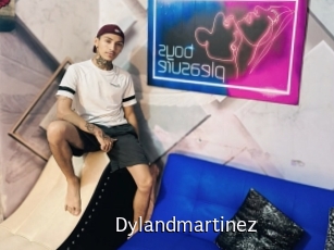 Dylandmartinez