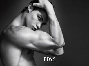 EDYS