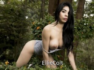 EllieColt