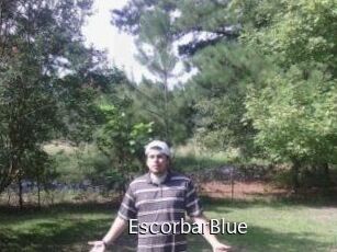 Escorbar_Blue