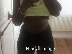 Ebony_flamingo