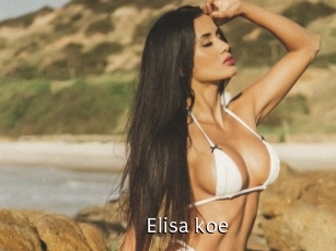 Elisa_koe