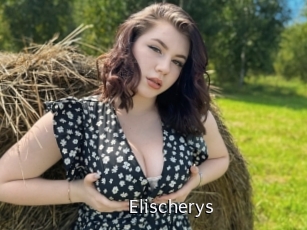 Elischerys