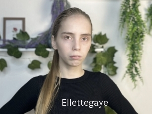 Ellettegaye