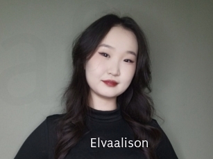 Elvaalison