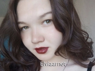 Elviaarnet