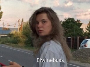 Elwinebuss