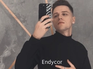 Endycor