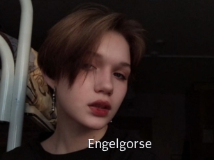 Engelgorse