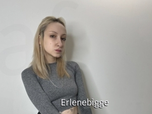 Erlenebigge