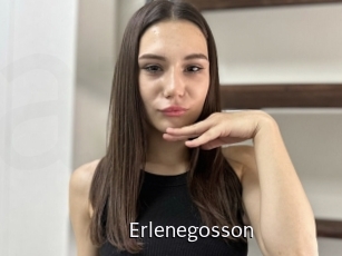 Erlenegosson