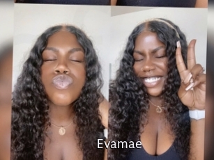 Evamae