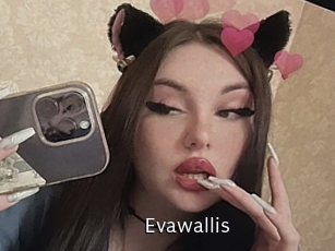 Evawallis