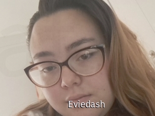 Eviedash