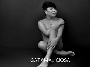 GATAMALICIOSA