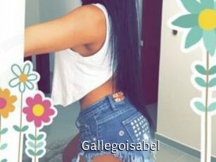 Gallegoisabel