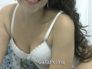 GataFelina