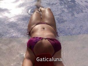 Gaticaluna