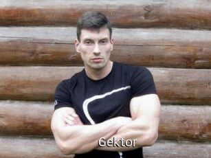 Gektor