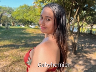 Gabyhornier