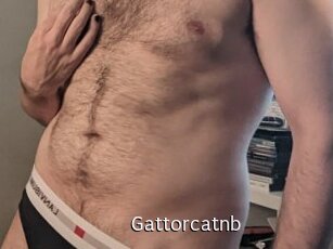 Gattorcatnb