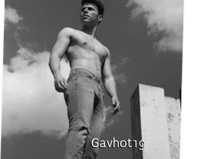 Gavhot19