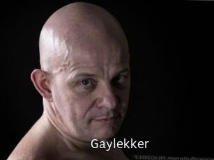 Gaylekker