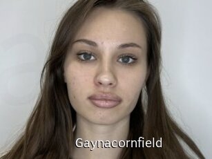 Gaynacornfield