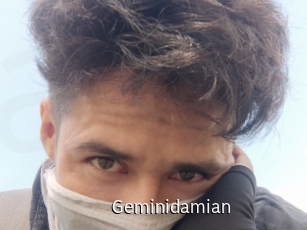 Geminidamian