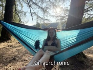 Gingerchronic