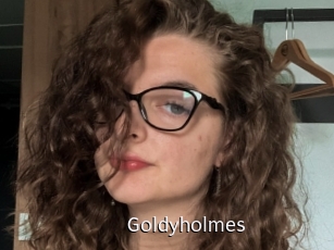 Goldyholmes