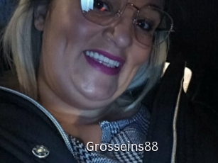 Grosseins88