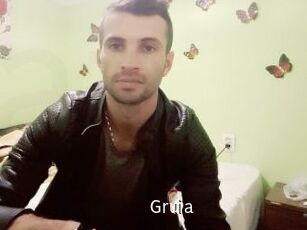 Gruia