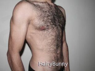 HairyBunny