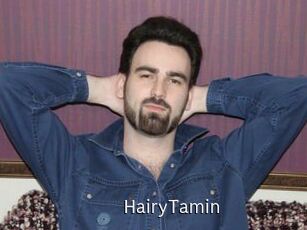 HairyTamin