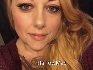 HarlowMae