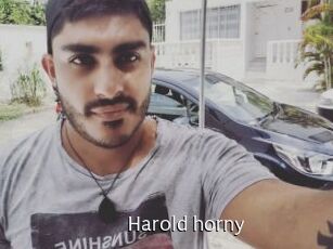 Harold_horny